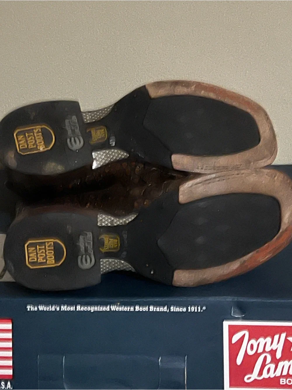 Chippewa sturdy shoe